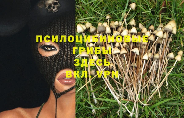трава Рославль