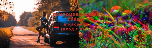 мдма Россошь